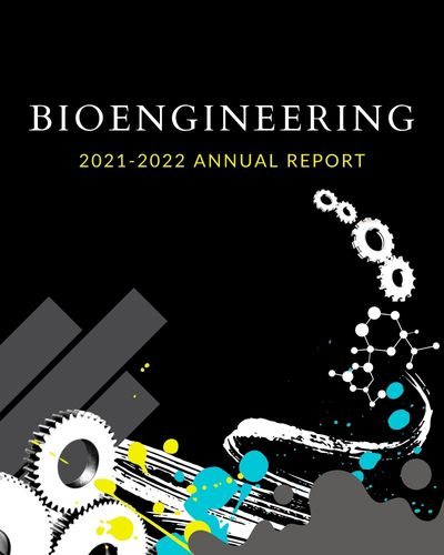 image graphic of annual report cover design