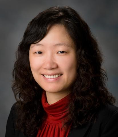 Photo image of Wenyi Wang, Ph.D.